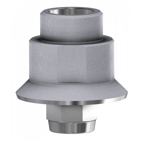 Ti Base (Implant Connection) Compatible with Straumann® Tissue Level &amp; Synocta® | Implant Components | DESS