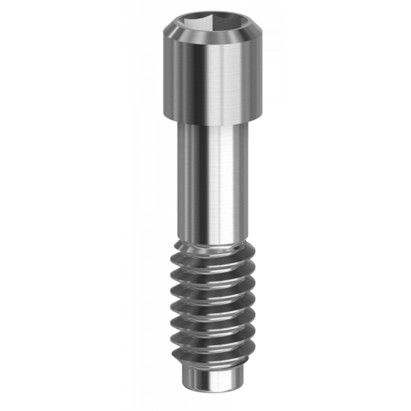 Tornillo hexagonal compatible con AnyRidge® Megagen | Componentes del implante | DESSE