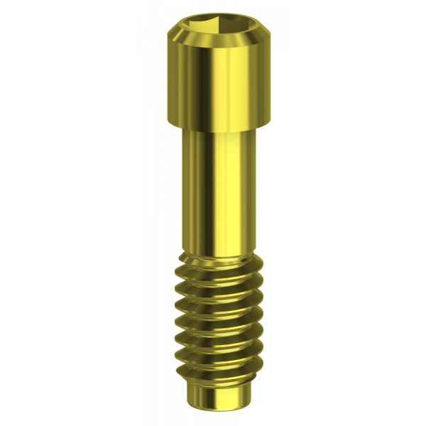 Megagen AnyRidge® Compatible Hex Screw | Implant Components | DESS