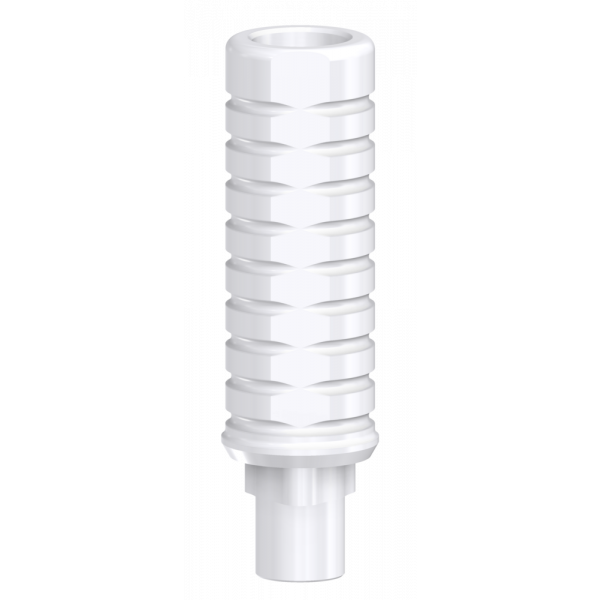 Castable Abutment Compatible with Nobel Replace Select™ | Implant Components | DESS