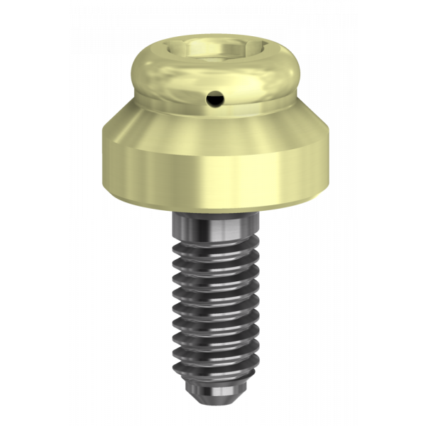 DESSLoc® Compatible with Straumann® Tissue Level &amp; Synocta® | Implant Components | DESS