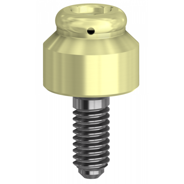 DESSLoc® Compatible with Straumann® Tissue Level &amp; Synocta® | Implant Components | DESS