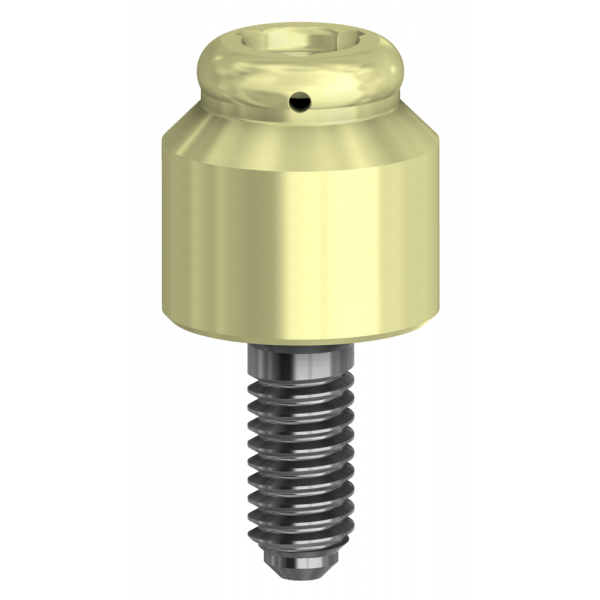 DESSLoc® Compatible with Straumann® Tissue Level &amp; Synocta® | Implant Components | DESS