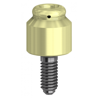 DESSLoc® Compatible with Straumann® Tissue Level &amp; Synocta® | Implant Components | DESS