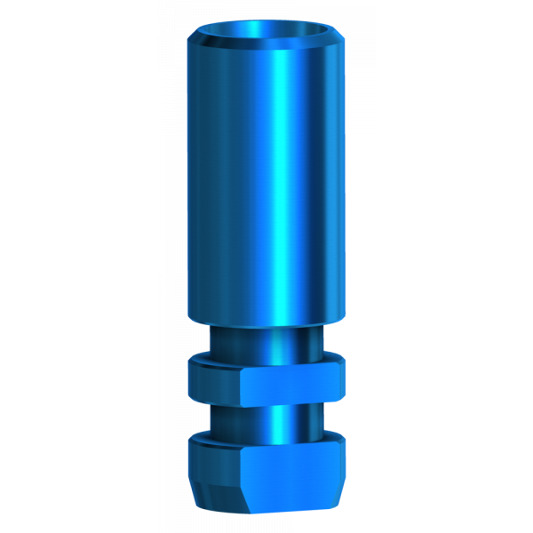 Analog Compatible with Megagen Anyridge® | Implant Components | DESS