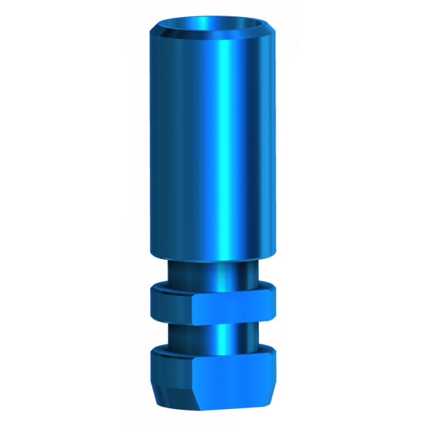 Analog Compatible with Megagen Anyridge® | Implant Components | DESS