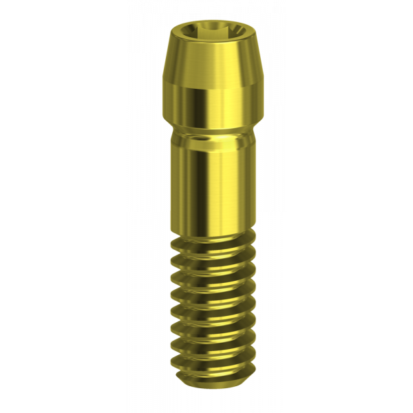 Hexadecimal Screw Compatible with Osstem® TS | Implant Components | DESS