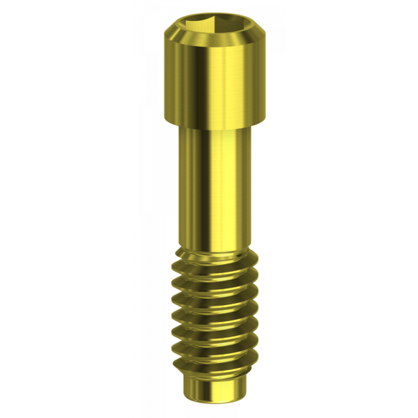 Megagen AnyRidge® Compatible Hex Screw | Implant Components | DESS