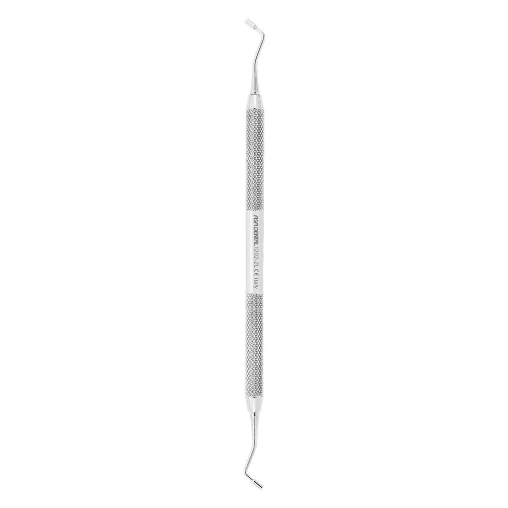 Bruñidor doble Punta Plana 1202-2L | Instrumentos de Restauración | ALA DENTAL